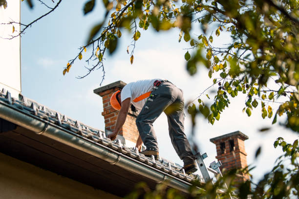 Best Roof Moss and Algae Removal  in Lake Winnebago, MO