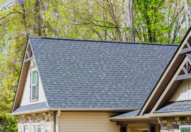 Best Gutter Installation and Repair  in Lake Winnebago, MO